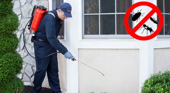 Türkeli Böcek ve Haşere İlaçlama böcek ilaçlama ve haşere kontrolü — ilaclama-tr.com